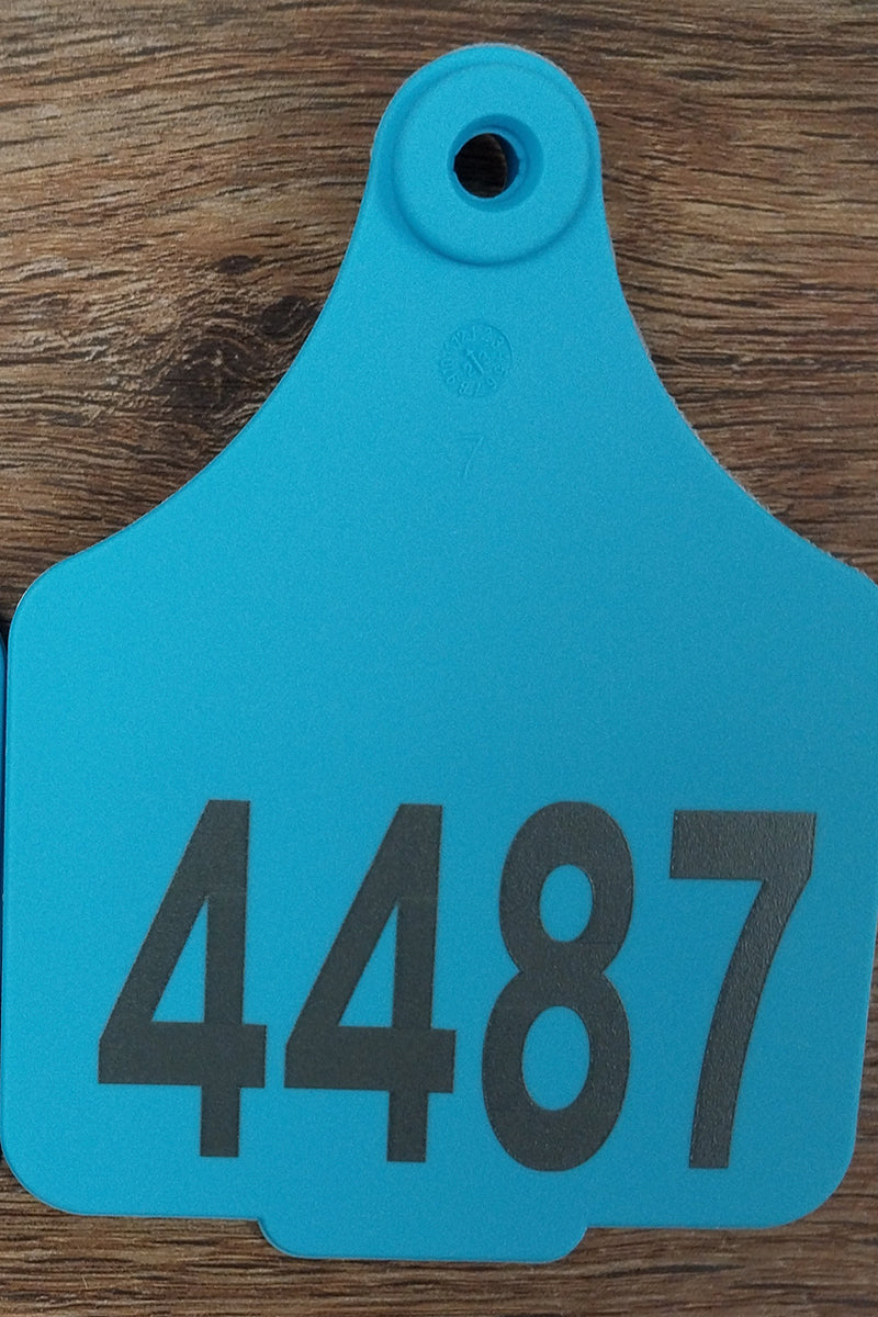 Tourist Cattle Tag (Blue | St George on the Balonne - 4487) - St George