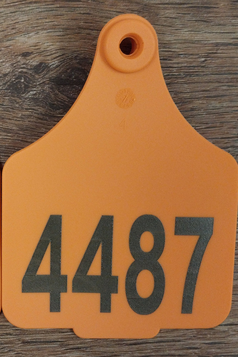 Tourist Cattle Tag (Orange | St George on the Balonne - 4487) - St George