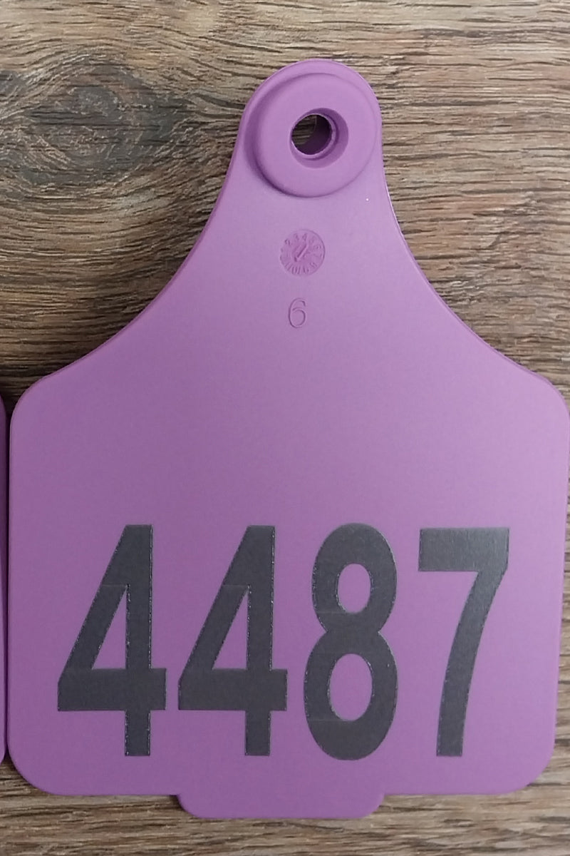 Tourist Cattle Tag (Purple | St George on the Balonne - 4487) - St George