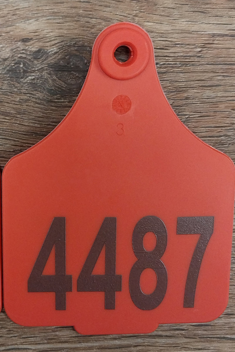 Tourist Cattle Tag (Red | St George on the Balonne - 4487) - St George