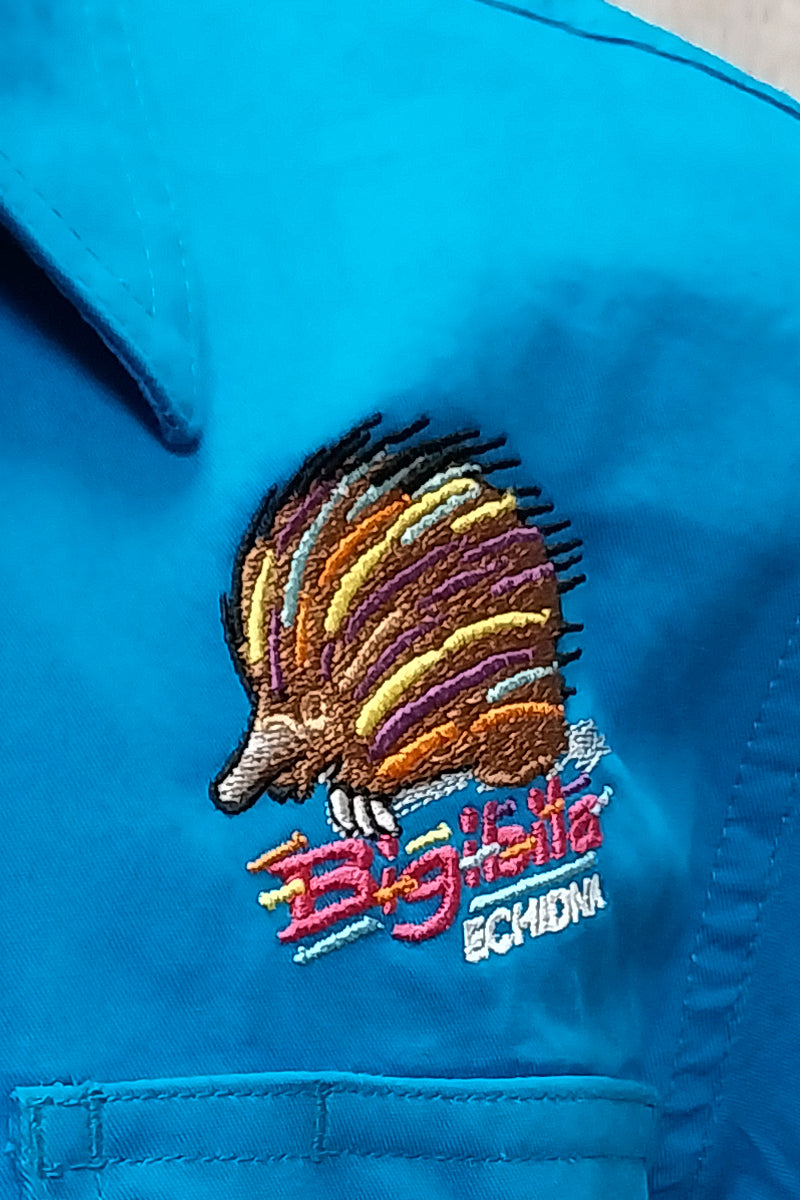 Pilbara Tourist Shirt (Kids) RM400CF - Closed Front Long Sleeve Shirt (Azure | Echidna) - Charleville