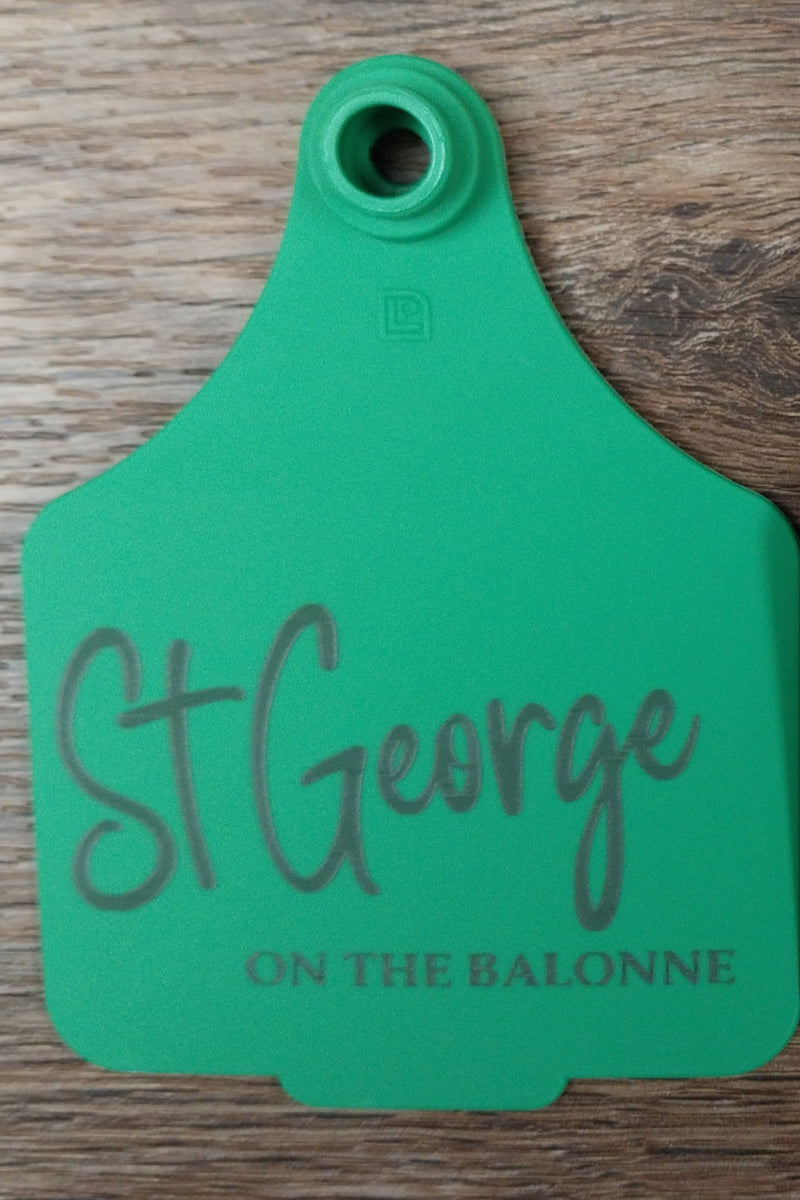Tourist Cattle Tag (Green | St George on the Balonne - 4487) - St George