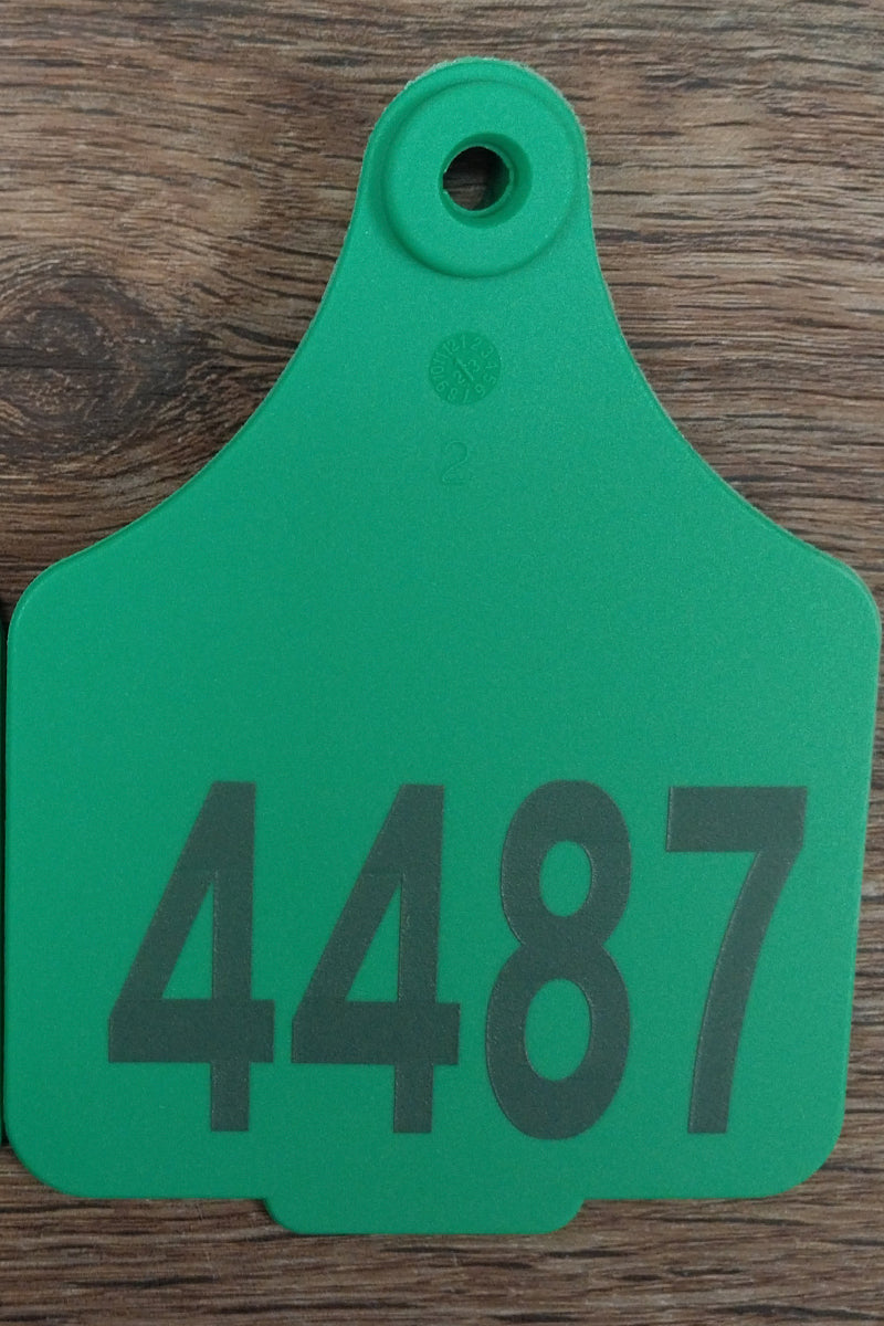 Tourist Cattle Tag (Green | St George on the Balonne - 4487) - St George