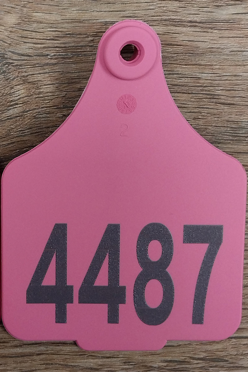 Tourist Cattle Tag (Pink | St George on the Balonne - 4487) - St George